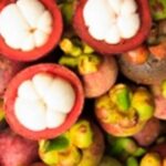 garcinia cambogia